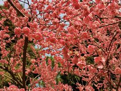 -白塘生态植物园