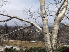 -凤凰山国家森林公园