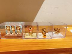 -柴务处·柴犬主题狗咖