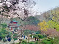 -岳麓山风景名胜区