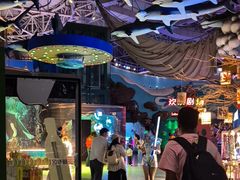 -烟台海昌鲸鲨海洋公园