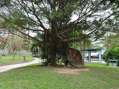 -红色娘子军纪念园