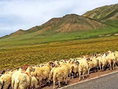 -青海湖国家重点风景名胜区