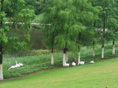 -厦门国家会计学院