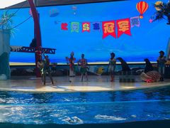 -三亚海昌梦幻海洋不夜城