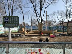 -秦皇岛野生动物园