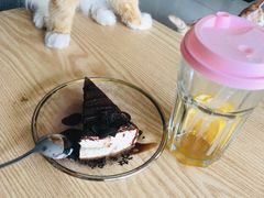 -平行世界·猫咖(首经贸店)