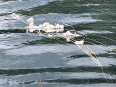 -丽江泸沽湖景区