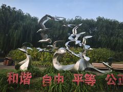 -天津金海湖