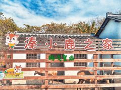 -溱湖国家湿地公园