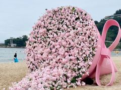 -小梅沙海滨乐园