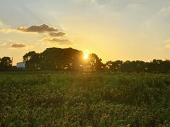 -苏州湾体育公园