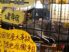 -蜜蜂家的红茶馆(华府店)