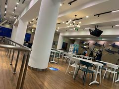 -贝林大翅鲸简餐厅(国家海洋博物馆店)