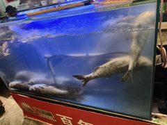 -八大碗·地道东北菜(中街店)