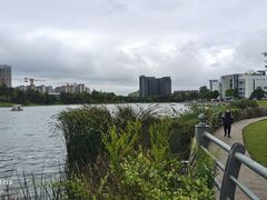 -美兰湖景区