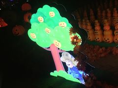 -郑州方特梦幻王国