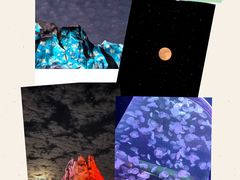 -上海海昌海洋公园
