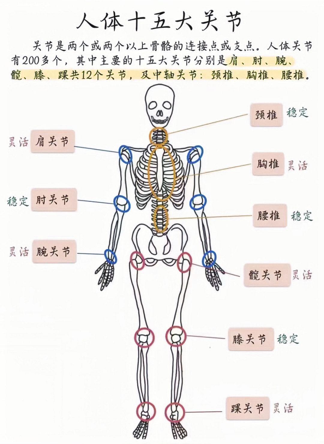 关节活动度正常范围图片