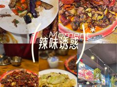 -柴窝堡22号辣子鸡·传承新疆菜