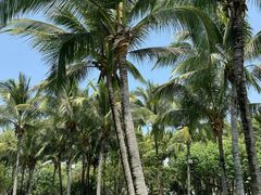 -味餐厅·海鲜·火锅·自助餐