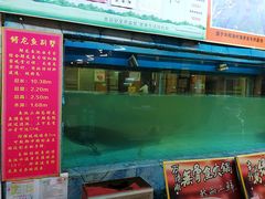 鱼池-年辉渔村