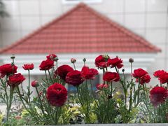 -浙江大学医学院附属第一医院(庆春院区)