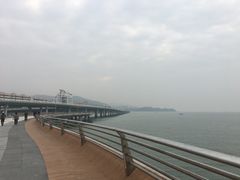 -演武大桥观景平台