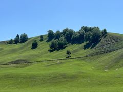 -新疆那拉提国家旅游度假区