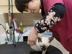 -美联众合动物医院·内科·皮肤科·外科(古城分院)