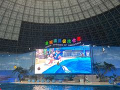 -泉城欧乐堡海洋极地世界