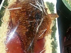 android_upload_pic-卫鼎轩·曹公馆(鼓楼店)