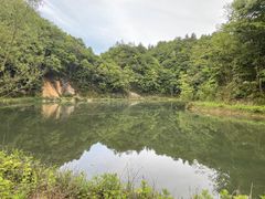 -田趣园