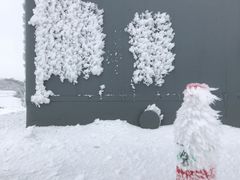 -齐岳山