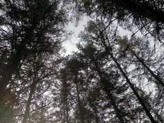 -硗碛藏寨·神木垒景区