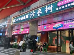 -沙枣树辣子鸡•新疆家常菜(喀什西路店)