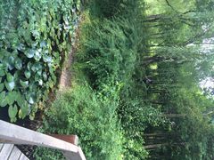 江湾湿地公园-新江湾城公园