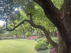 -申粤轩酒楼·三十年粤菜经典(丁香花园店)