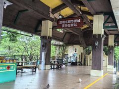 -东部华侨城