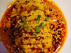 -老板恋上鱼(恒隆广场店)