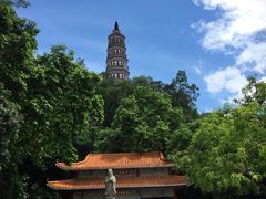 -顺峰山公园