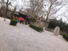 -大槐树寻根祭祖园