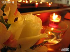 -海淀教堂教堂婚礼