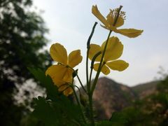 iphone_upload_pic-灵溪风景区