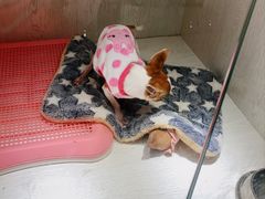 -乐宠宠物店(世纪金源店)