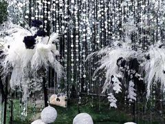 -怪咖·joker陈楠