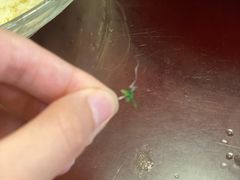 -烟雨人家(塔湾街店)