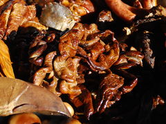 -长香源葫芦头梆梆肉(兴隆巷店)