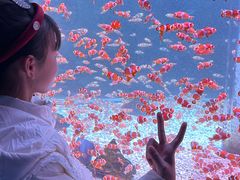 -海合安成都极地海洋公园