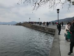 -西湖游船